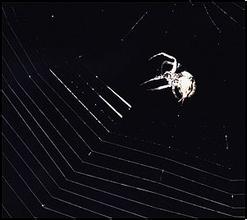 �齫��ѧԭ�ϱ�����Ƶ����Ʒ�͵��۴������Ŀ��� ÿ�ֻ򽵼۰�Ԫ...